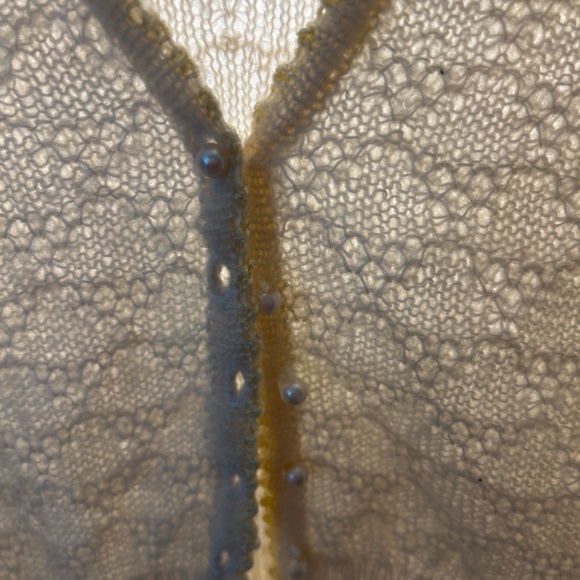 Vintage cardigan - Picture 2 of 3